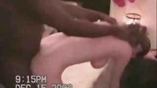 Улаан толгойг зэрлэг хүйсээр орлуулдаг.