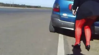 Хар цагаан нь илжиг өгсөн.