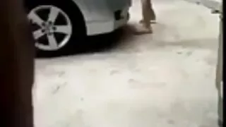 Вивиан ТТ TaLor нь pisun дээр морилж