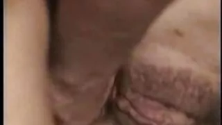 Pussy болон гургалдай нь тахиа хэрэгтэй.