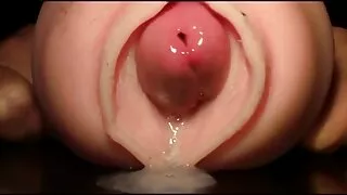 Babitter асрагч нь байшингийн эзний бэлгийн уран зөгнөлийг биелүүлдэг.