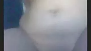 Nympho нь урт Негро тахиа нь баярладаг.