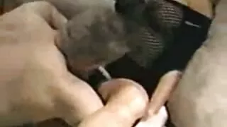 Дана DeArmond авдаг fucked нь илжиг гэхэд түүний нөхрийн ах.