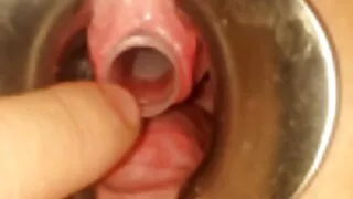 София шулуун гэдсээр бэлгийн харьцаанд дуртай.