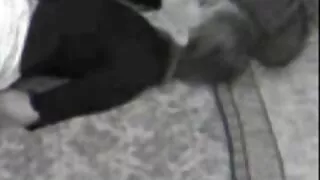 Аюулгүй байдлын даргатай бэлгийн хавьталд орохоос өөр аргагүй.