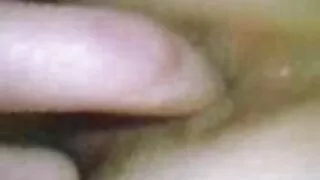 Bitches урьж хөрш Зөндөө болон Hallo танхим