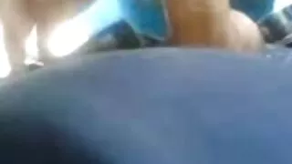 Оймс нь нарийхан хар үстэй хойлог дээр сунаж.  Эхнэр, нөхөр нь нууцаар амраг нь Зөндөө.